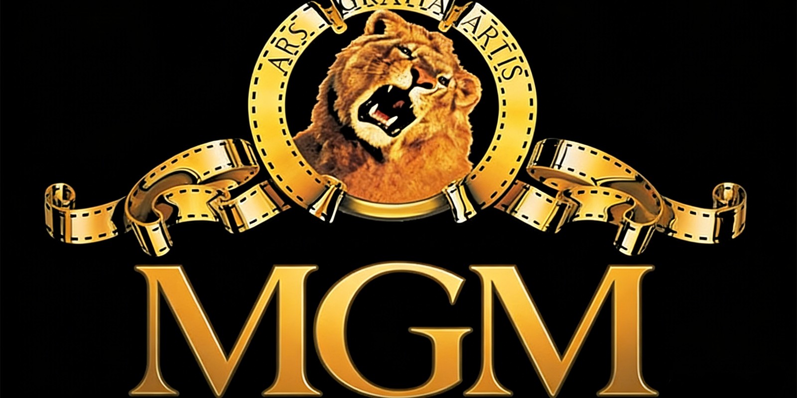 澳门美高梅1码中彩--大赢家